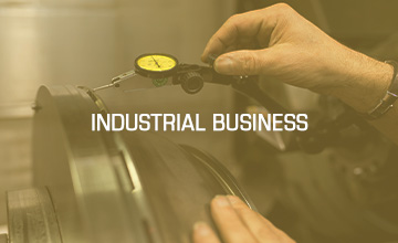 MOTHERSON-industrial business